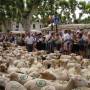 Fte de la Transhumance